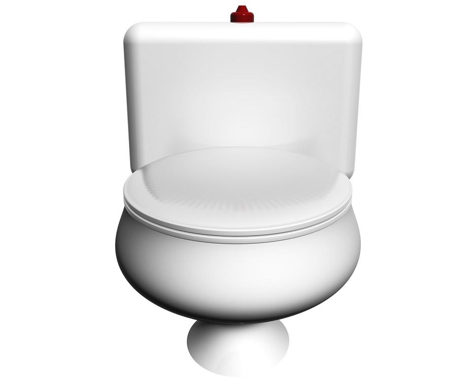 Help the Environment While Saving Money, by Using a Water Efficient Toilet